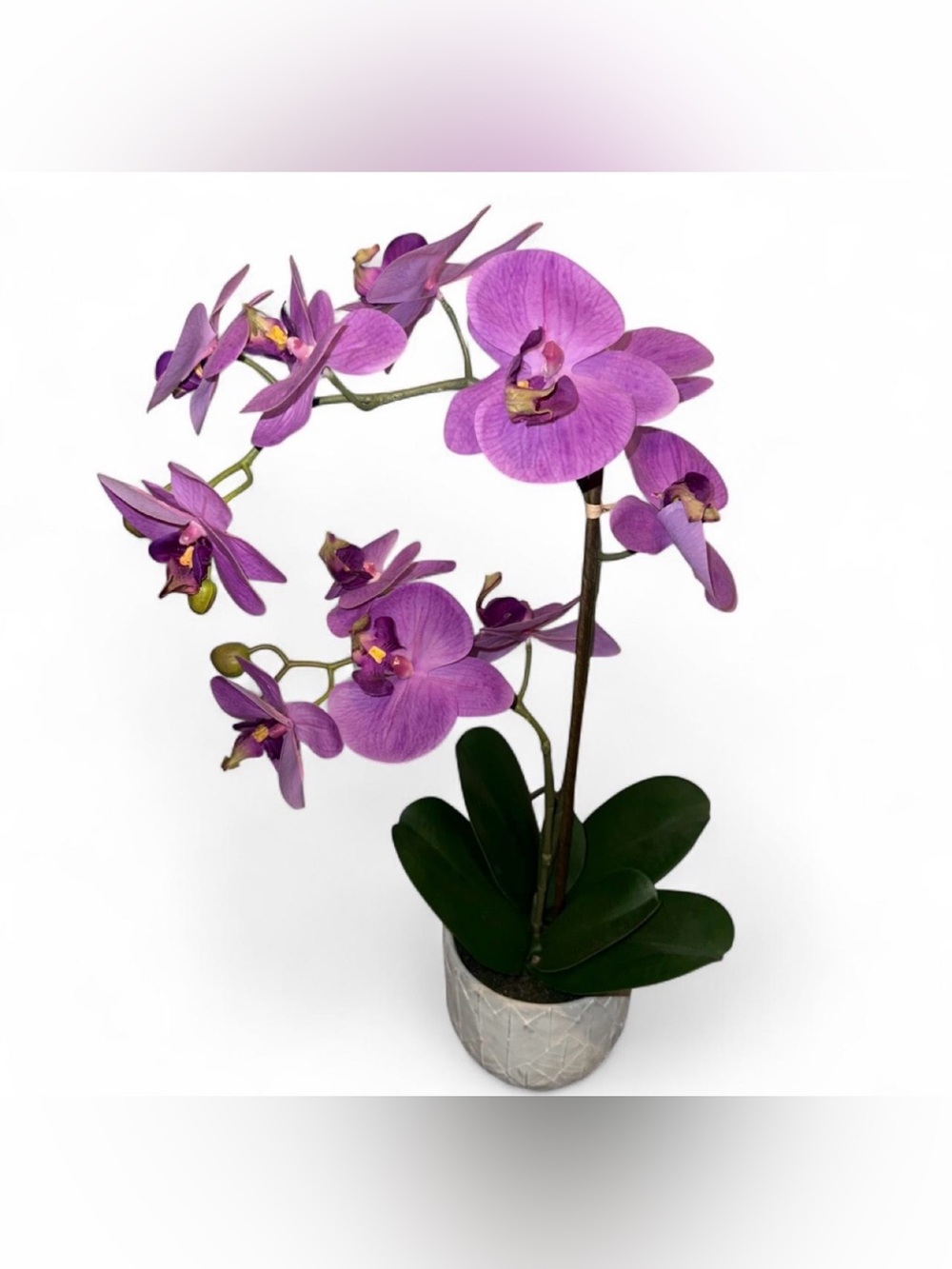 Mikasa Purple Faux Orchid Arrangement in Decorative Pot